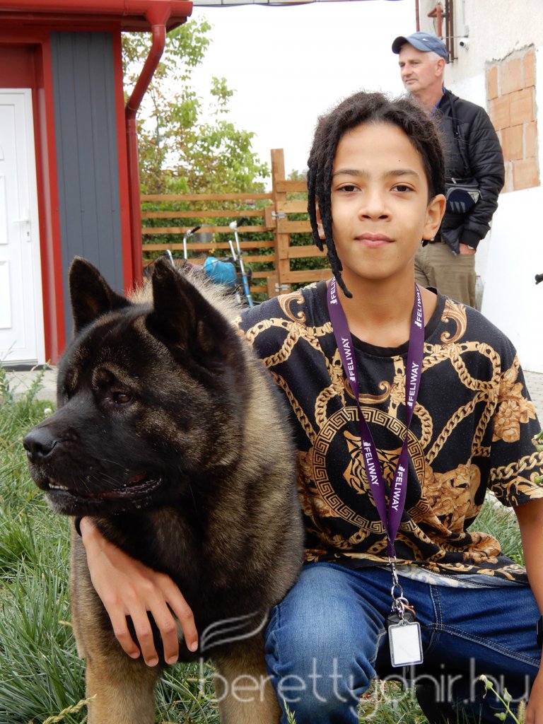 10 éves a Pethouse állatorvosi rendelő 18
